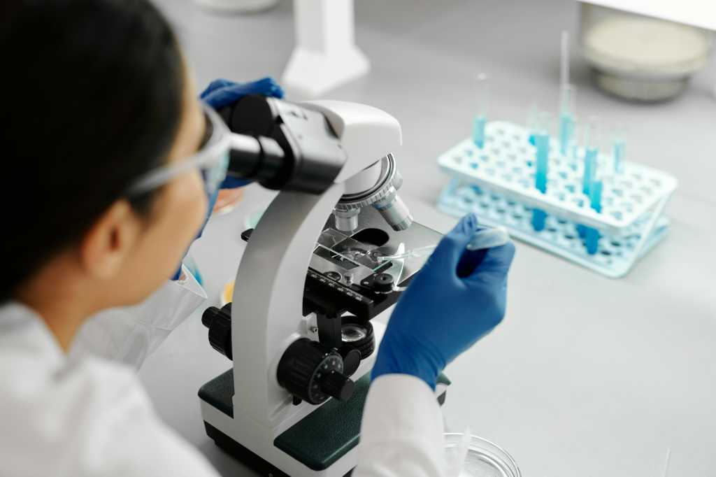 Scientist looking at sample through microscope