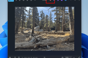 A useless Copilot button is being tested on Windows Photos
