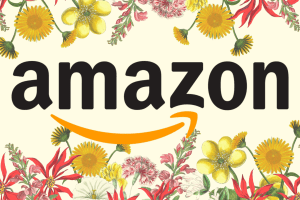 Amazon Spring Sale 2025: Last chance to save on laptops, USB drives, SSDs, and more
